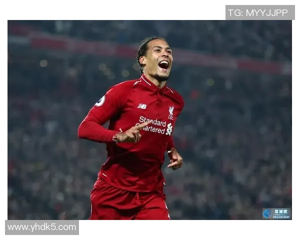 荷兰七号足球明星的辉煌历程与未来展望